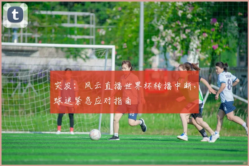 突发：风云直播世界杯转播中断，球迷紧急应对指南