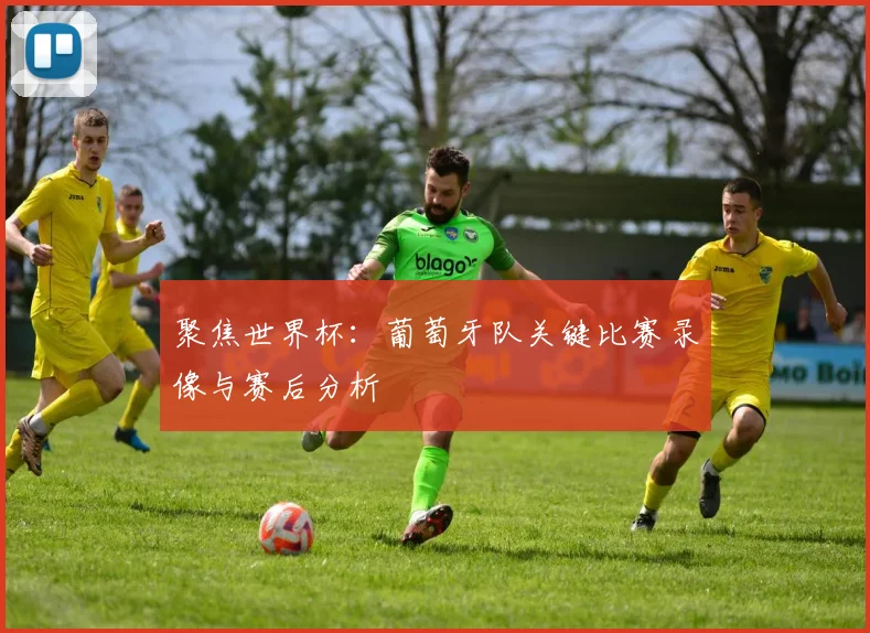 聚焦世界杯：葡萄牙队关键比赛录像与赛后分析