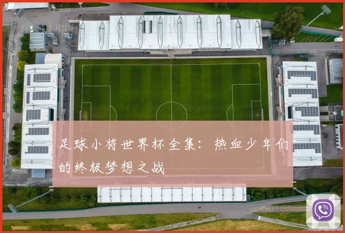 足球小将世界杯全集：热血少年们的终极梦想之战